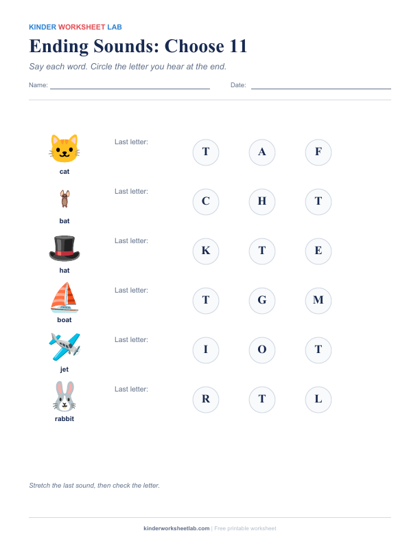 Ending Sounds: Choose 11 worksheet preview