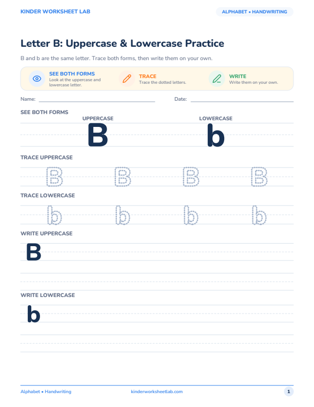 Letter B: Uppercase & Lowercase Practice worksheet preview