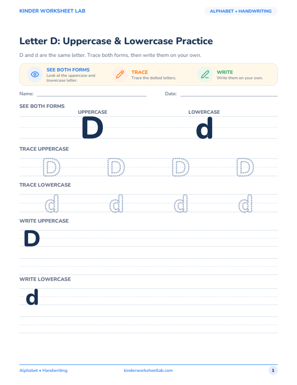 Letter D: Uppercase & Lowercase Practice worksheet preview