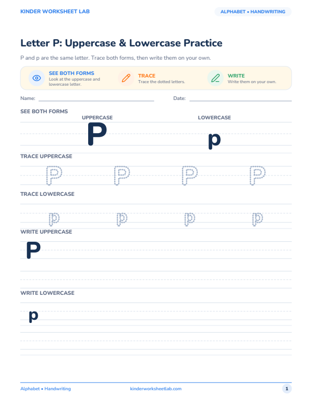 Letter P: Uppercase & Lowercase Practice worksheet preview