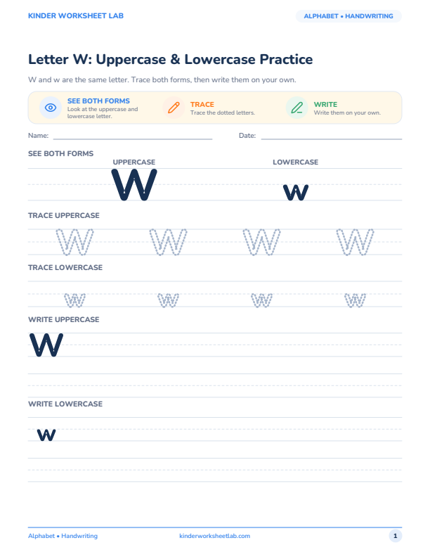 Letter W: Uppercase & Lowercase Practice worksheet preview