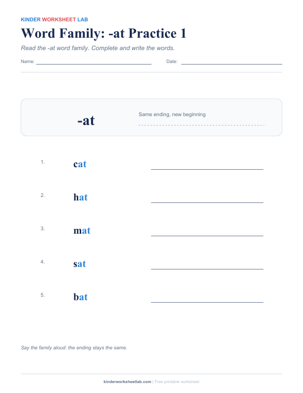 Word Family: -at Practice 1 worksheet preview