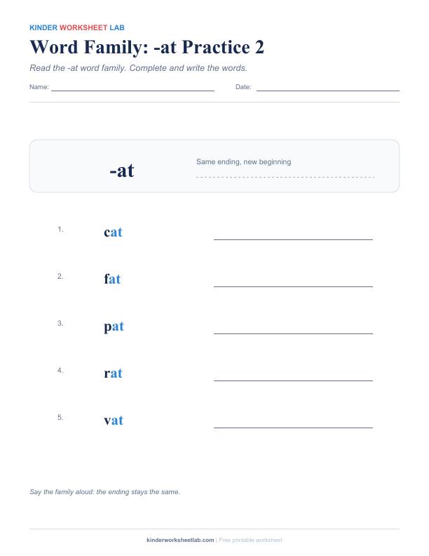 Word Family: -at Practice 2 worksheet preview