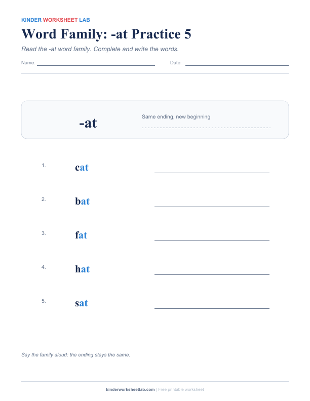 Word Family: -at Practice 5 worksheet preview