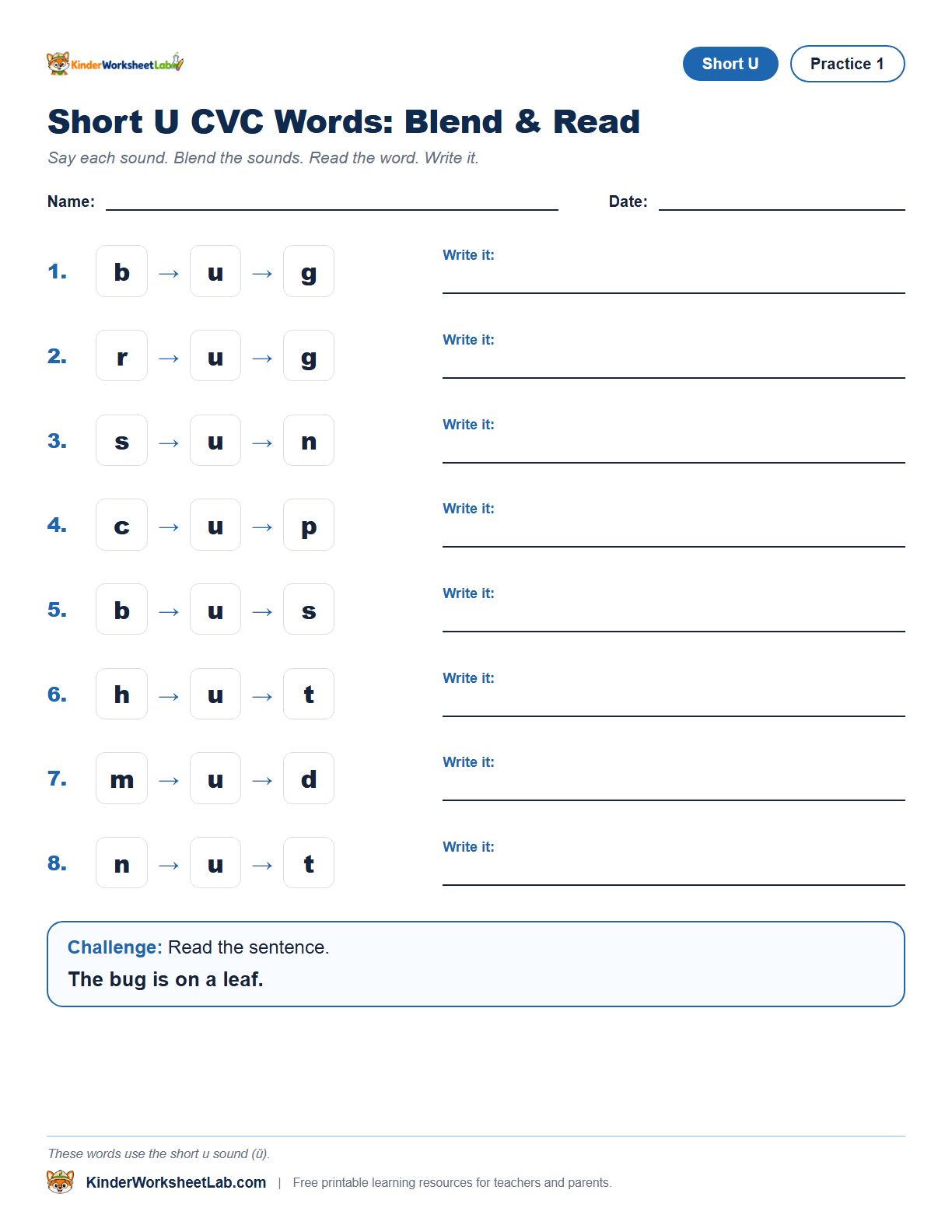 Bug CVC worksheet preview